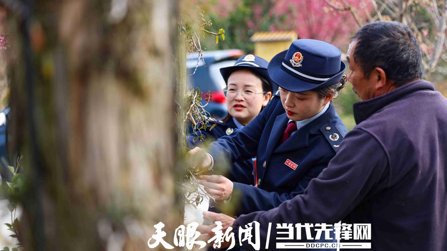 锦屏县税务局:从税路上不停歇,税务巾帼绽芳华
