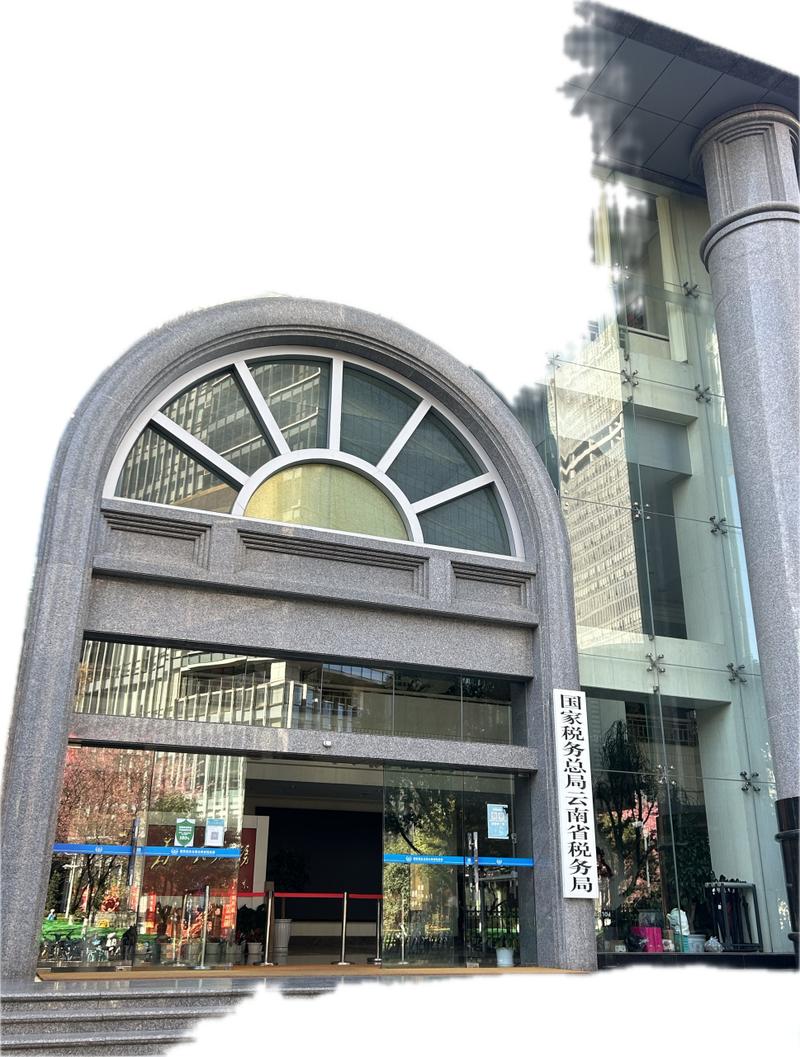 税务律师视角 向税务机关提供税务资料的风险防范与合规策略